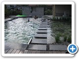 piscine naturelle baignade pool